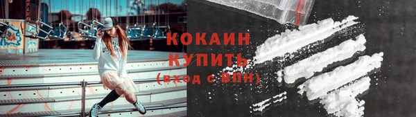 гашик Верея