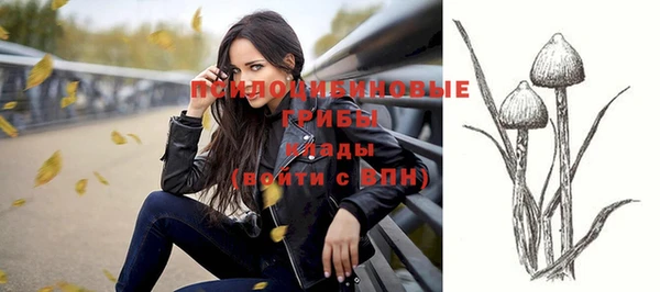 гашик Верея