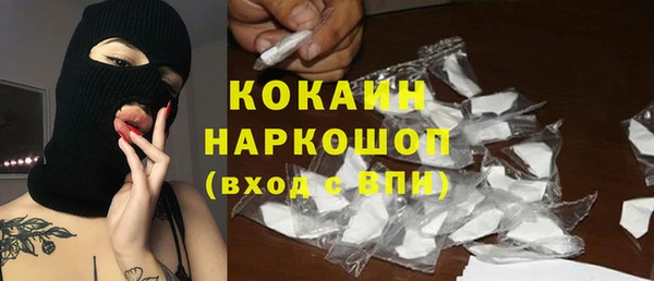 гашик Верея