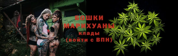 гашик Верея