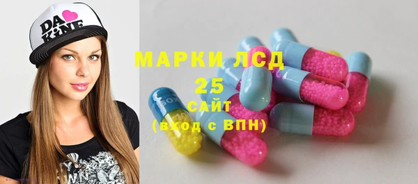 гашик Верея