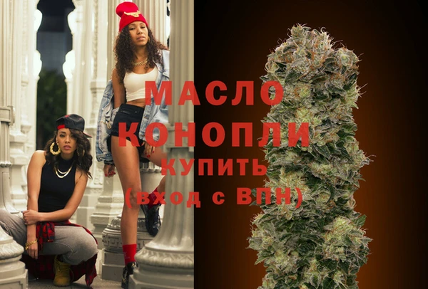 гашик Верея