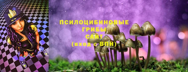 гашик Верея