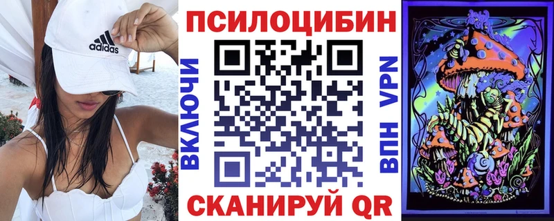 Галлюциногенные грибы Psilocybe  Купить где  Усть-Джегута 